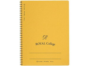 CJbW B5 r 5mmr 62 LNgE PT202