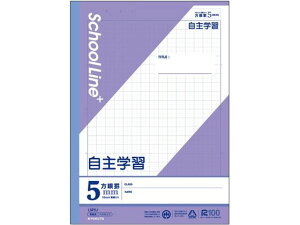 XN[CvX Ȗږ wK Z~B5 30 LNgE LSP5J