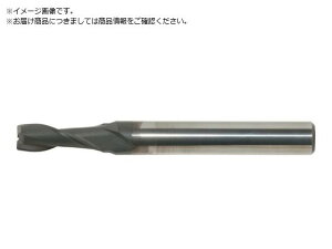 EH[^[~Y/WM _ChR[gdXNGAGh~ 2n 6×52 2500174