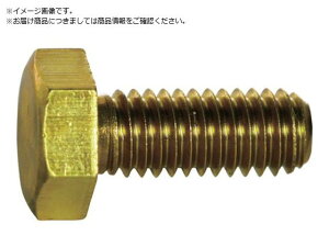 TRUSCO/Zp{g  SlW M8×16 5{ Y501-0816 gXRR 2430588