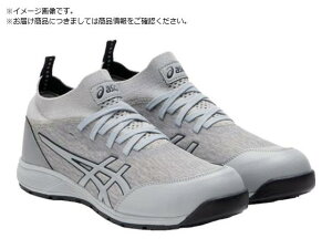 ASICS/EBWu CP213 TS OVAO[×sGhgO[ 2506420