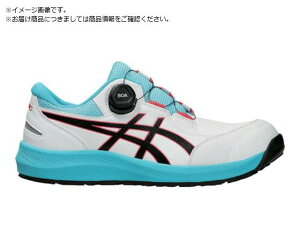 ASICS/EBWuCP309 BOA zCg×ubN 26.0cm 6070865