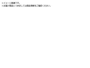 Ώ\/}OlbgV[g zCg{[h^Cv MS-391 300×450×0. 1063151