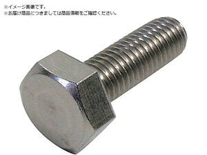 DAIDOHANT HP ステンレス六角ボルト 5X10 6本入 10184557 8284153