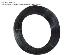 S\tgoCh ca1.2mm 134-193-77129 BGV-JB JAPPY 8292197