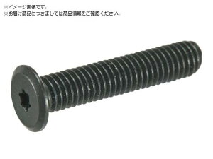 TRUSCO/�w�b�N�X���[�u���ɒᓪ�˂� �X�e�����X ���� M3×10 10�{ �g���X�R���R 3812616