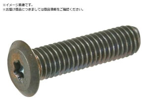 TRUSCO/�w�b�N�X���[�u���ɒᓪ�˂� �X�e�����X �u�����Y M3×16 10 �g���X�R���R 3812612