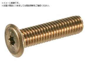 TRUSCO/�w�b�N�X���[�u���ɒᓪ�˂� �X�e�����X ���C�g�u�����Y M3×10 �g���X�R���R 3812606