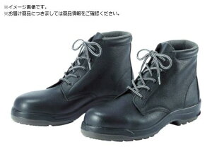 E^2w SC ҏ CF120 24.5CM ~hS 3884422