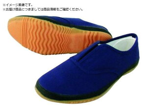 낤 DK500 lCr[ 24.0 DK500-NV-24.0 쑽 2172870