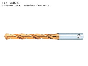 OSG/EX�S�[���h�h���� ��ʉ��H�p���M���� 6.9 60569 EX-GDR- �I�[�G�X�W�[ 1012541