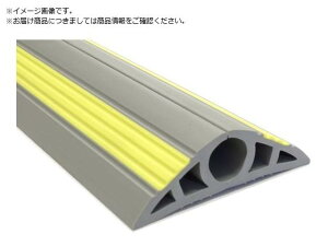 匤/P[uveN^2 31×2M O[ FC CP2-30 匤H 2501703