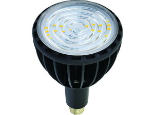 NICHIDO/LED GRrbN100W E39 F X|bg L100 1622038