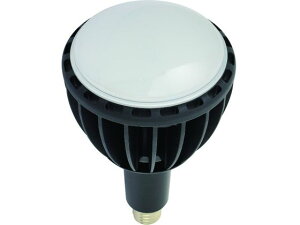 NICHIDO/LED GRrbN100W E39 F Ch L100W 1618926