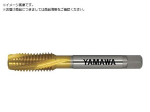 }/pʂ茊pXpC^bv F-SL P3 M12X1.5 F-SL- 8168117