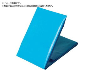 NEOV[g u[V[g #3000 S^Cv 10m×10m NEOS1010  8684454