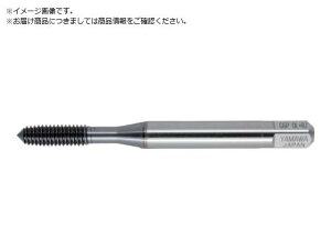 }/hCHp[^bv OL+RZ G6 M3.5X0.6 P OLRZ-G6- 4911768