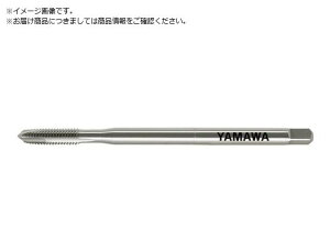 }/Oޗp|Cg^bv LS-PM-PO L100 P3 M5X0.8 4710141