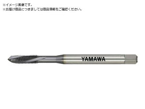 }/Z-PRO dxYf|pʂ茊pXpC^bv MHSL P3 5552089