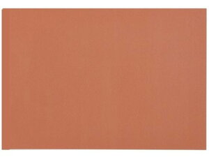 �Đ��F��p�� 8�c�� 10�� ������������ �剤����