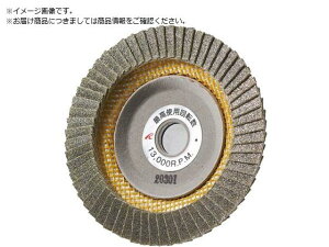 AC/X[p[_CeNmfBXN 100X15 #320 SDTD10015-320 8063707