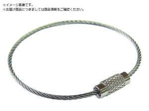 XeXL[C[ 100 SKE-101 jbT`FC 1264621