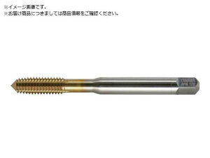 ���}��/�R�[�e�B���O���[���^�b�v R+V G4 M1.4X0.3 B RV-P-G4-M1.4X 8375185