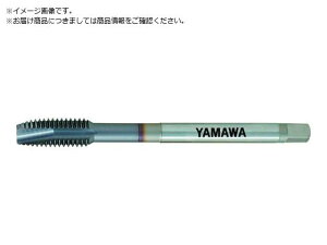 }/Z-PRO R[eBO|Cg^bv VUPO P3 M16X1.5 VUPO-P3 1487833