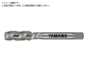 XpC^bv ˂p SP LH P3 1 1845009