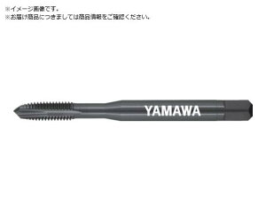 }/XeX|p|Cg^bv SU-PO P3 M6X1 SU-PO-P3-M6X1 2161558