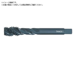 c䐻쏊/TXpC^bv TSP 00019 TSPM8X1.25GT7 5601412