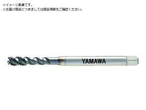 }/Z-PRO R[eBOXpC^bv VUSP P3 M3X0.5 VUSP-P3 1954599