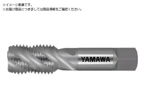 }/XpC^bv SP P2 3/4-20UNEF SP-P2-3/4-20UNEF 2155123