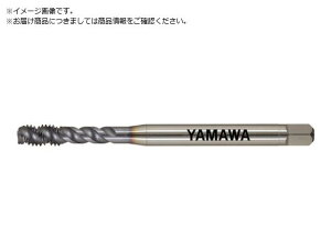 }/Z-PRO R[eBOXpC^bv VUSP L100 P2 M4X0.5 VU 4686445