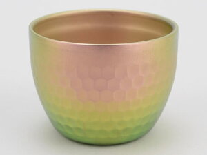 PTYGRACE/`^Ɩڂۂ d\ sN [htH[X PY-C023