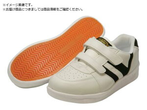 i/XpC_[}bNX#6000 24.0cm V6000W-24.0 iH 1249108