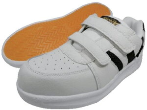 i/XpC_[}bNX#6000 24.5cm V6000W-24.5 iH 1247632