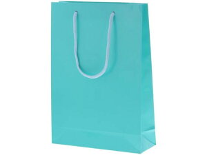 ��񂰎��� �u���C�g�o�b�O SWT �A�T�M 10�� �w�C�R�[ 006138210