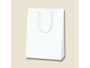 ��񂰎��� K�o�b�O T-3 ���G���{�X 10�� �w�C�R�[ 006144110