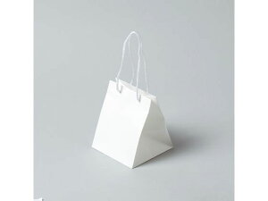 񂰎 AWobO 3S n 10 wCR[ 006441104