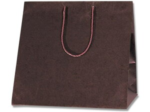 ��񂰎��� �J���[�A�����W�o�b�O L �Œ� 10�� �w�C�R�[ 006441011