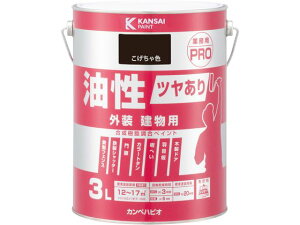 c茚pPRO F 3L JynsI