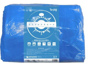 GRthV[g#3000 10m×10m H TEF1010