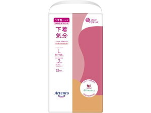 Aeg ^pc C GKgsNx[W L 22 剤