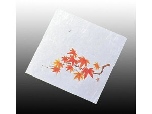  j[lG 5 100 NS-14 ݂ A[ebN 5907700