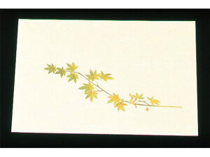 ڎO ΂܂ N[ 100 WSS-9 O[݂ A[ebN 7960300