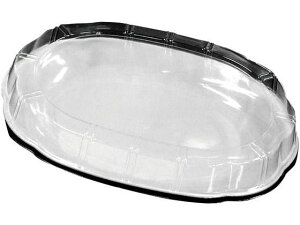 �v���e�� �V���L�[�A�C�{���[ 10���� ����p�����W �j�V�L 8173100