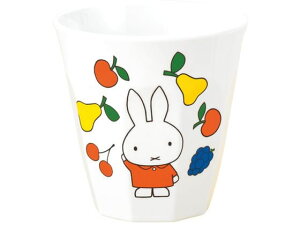 ~qH ~btB[t[c Jbv ֓vX`bNH 2430600