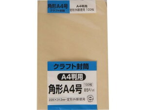 Ntg pA4 85g 100 LOR[|[V KA4K85