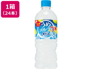 VR ߃\eB 540mL×24{ Tg[